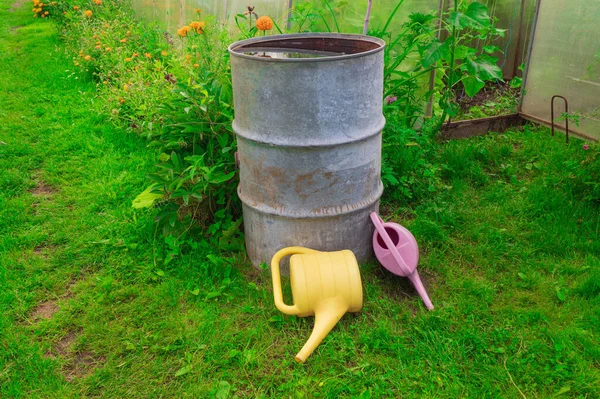 В саду рядом с теплицей стоит высокая железная бочка с водой и лежат две банки для полива — стоковое фото