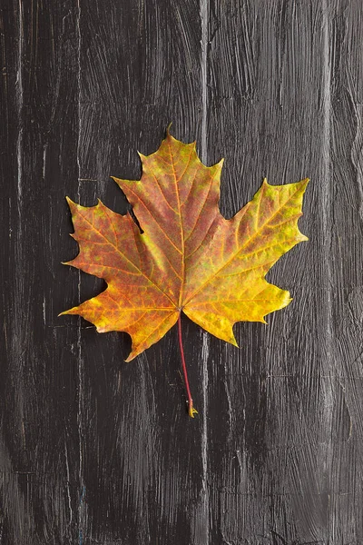 Top view of a maple leaf that lies in the center on a black wooden table — Stock Photo, Image