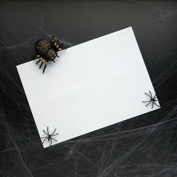 Decoration of artificial spider web and spiders over black background. Happy halloween and horror concept. Flat lay, top view, copy space..