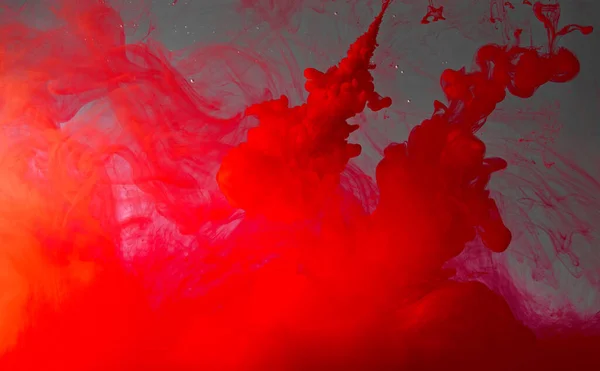 Closeup of a red ink in water in motion isolated on white. Ink swirling underwater. Colored abstract smoke explosion effect. Abstract background with copy space..