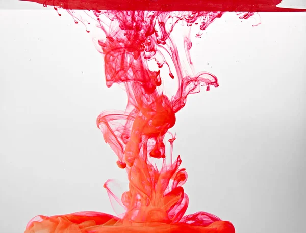 Closeup of a red ink in water in motion isolated on white. Ink swirling underwater. Colored abstract smoke explosion effect. Abstract background with copy space..