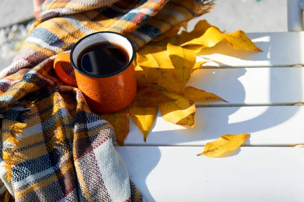 Cup of tea and warm scarf on white wooden bench, picnic in the autumn park. Fall season, weekend, teatime, still life, leisure time and tea break concept. Selective focus. Top view, copy space.