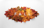 Egy halom gyönyörű színű őszi juharfalevél elszigetelve fehér háttérrel. Ősz, ősz, hálaadás napja, a természet koncepciója. Lapos fekvés, felülnézet, másolás..