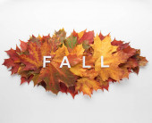 Egy halom gyönyörű színű őszi juharfalevél elszigetelve fehér háttérrel. Ősz, ősz, hálaadás napja, a természet koncepciója. Lapos fekvés, felülnézet, másolás..