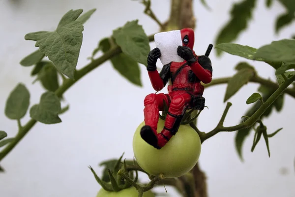 Rio de Janeiro, Brezilya, 25 Kasım 2018: Deadpool bitki üzerinde oturan Minifigure. Bitki altında bir gazete okuyor Deadpool.