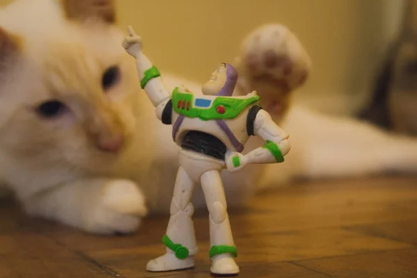 Rio de Janeiro, Brezilya - 08 Ocak 2019: şirin komik kedi evde Toy Story mini figürü ile oynamak. Buzz Işıkyılı spaceman oyuncakla oynamak beyaz kedi.