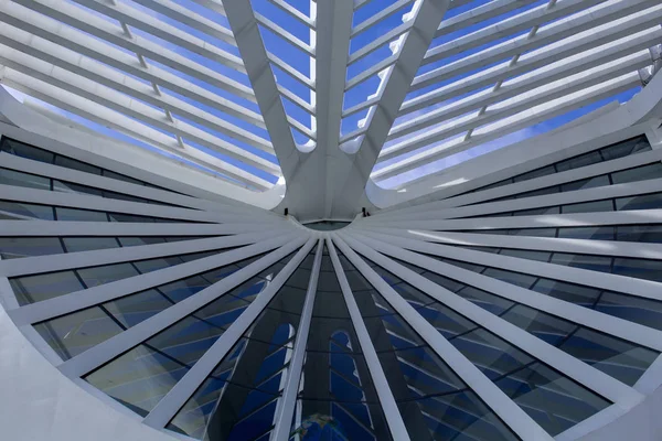 Rio de Janeiro, Brezilya. 05 Ağustos 2018. İç Maua Meydanı yarın Müzesi. Mimar Santiago Calatrava tarafından tasarlanan.