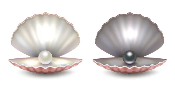 Vector realista 3d hermosa concha de perlas naturales abiertas con perlas en el interior - color blanco y negro - icono conjunto de primer plano aislado sobre fondo blanco. Plantilla de diseño de conchas marinas para gráficos. Frente — Vector de stock