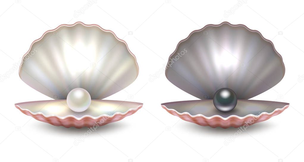 Vector realistic 3d beautiful natural opened pearl shell with pearls inside - white and black color - icon set close-up isolated on white background. Design template of seashells for graphics. Front