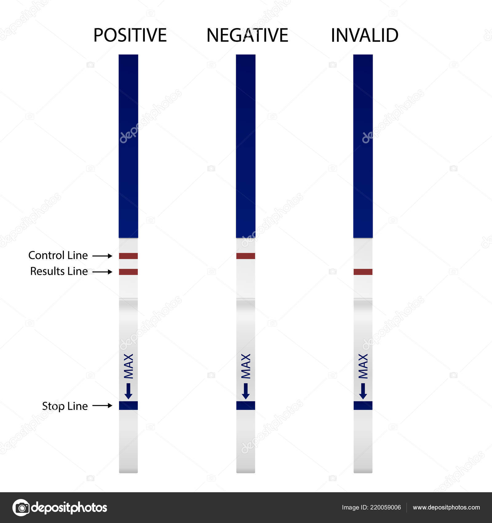 Vector realistic pregnancy test strip with positive, negative invalid result set icon closeup isolated on white background. Pregnant test instruction. Planning a baby, concept Stock Vector by ©Gomolach