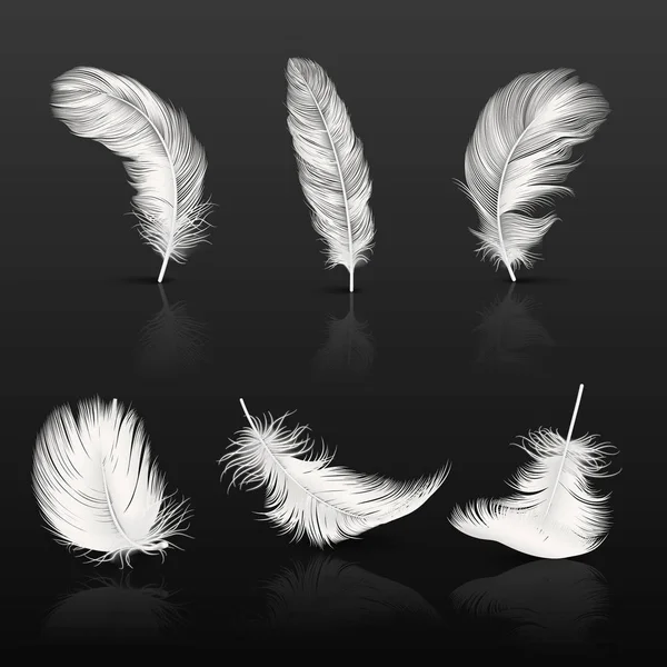Vector 3d Realistic Different Falling White Fluffy Twirled Feather Set Closeup Isolated on Dark Background. Design Template, Clipart of Angel or Bird Detailed Feather in Various Shapes — Stock Vector