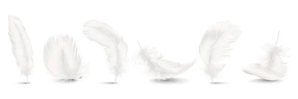 Vector 3d Realistic Different Falling White Fluffy Twirled Feather Set Closeup Isolated on White Background. Design Template, Clipart of Angel or Bird Detailed Feather in Various Shapes — Stock Vector