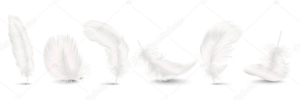 Vector 3d Realistic Different Falling White Fluffy Twirled Feather Set Closeup Isolated on White Background. Design Template, Clipart of Angel or Bird Detailed Feather in Various Shapes