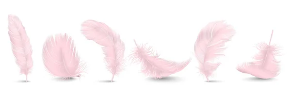 Vector 3d Realistic Different Falling Pink Fluffy Twirled Feather Set Closeup Isolated on White Background. Design Template, Clipart of Angel or Bird Detailed Feather in Various Shapes — Stock Vector