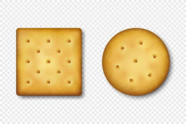 Ρεαλιστική διάνυσμα 3d γύρο και ρουστίκ τετράγωνο νόστιμα αλμυρά μπισκότα, κράκερ, μπισκότο Icon Set Closeup που απομονώνονται σε λευκό φόντο. Πρότυπο σχεδίασης γλυκό μπισκότο, νόστιμα κράκερς, πρωινό σνακ — Διανυσματικό Αρχείο