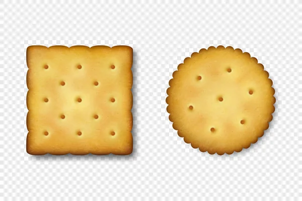 Realistische Vector 3d ronde en vierkante heerlijke zoute koekjes rustiek, Cracker, Biscuit pictogrammenset close-up geïsoleerd op een witte achtergrond. Ontwerpsjabloon van zoete Cookie, lekker Crackers, Ontbijt Snack — Stockvector