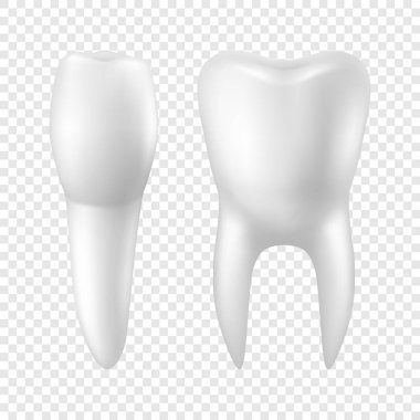 Vektör 3d Gerçekçi Render Beyaz Toothicon Set Closeup Şeffaf Arka Plan üzerinde izole. Diş, Tıp ve Sağlık Kavramı. Grafik için Tasarım Şablonu. Ön Görünüm
