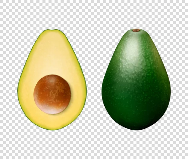 Vector 3d Realistic Whole and Half Avocado with Seed Closeup Isolated on Transparent Background. Design Template, Food, Health, Diet Concept. Front or Top View — Stock Vector