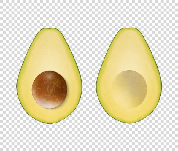 Vector 3d Realistic Cut Half Avocado with Seed Icon Set Closeup Isolated on Transparent Background. Design Template, Food, Health, Diet Concept. Front or Top View — Stock Vector