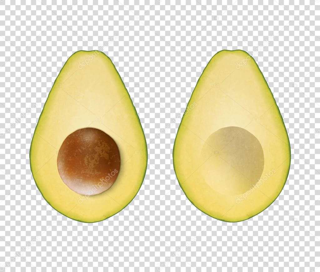 Vector 3d Realistic Cut Half Avocado with Seed Icon Set Closeup Isolated on Transparent Background. Design Template, Food, Health, Diet Concept. Front or Top View.