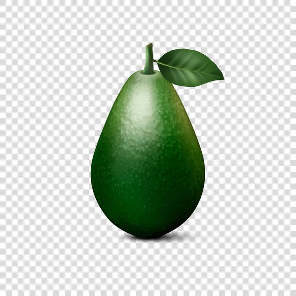 Vektor 3D realistische ganze Avocado mit Blatt Nahaufnahme isoliert auf transparentem Hintergrund. Design-Vorlage, Lebensmittel, Gesundheit, Ernährungskonzept. Frontansicht — Stockvektor