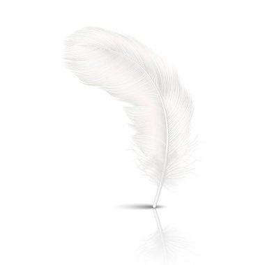 Vektör 3d Gerçekçi Düşen Beyaz Kabarık Twirled Tüy Yansıma Closeup Beyaz Arka Plan izole ile. Tasarım Şablonu, Melek Clipart veya Ayrıntılı Kuş Quill