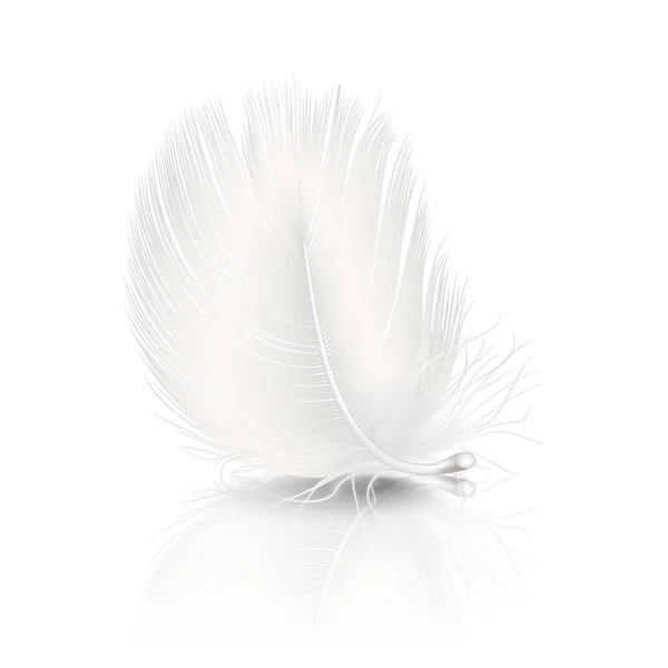 矢量 3d 逼真的下降白色蓬松的旋转羽毛与反射特写隔离在白色背景上。设计模板，天使或详细鸟的剪贴画 — 图库矢量图片