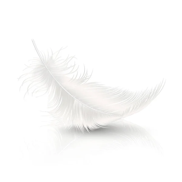 Vektor 3D reális Falling fehér bolyhos twirled Feather a reflexió closeup izolált fehér háttér. Tervezősablon, ClipArt az Angel vagy a részletes Bird Quill — Stock Vector