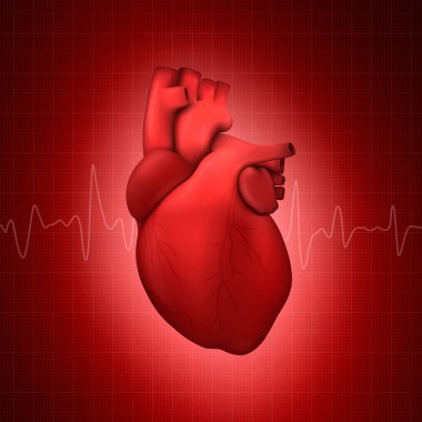 Kırmızı Çizgili Damalı Tıbbi Arka Plan bir Pulse Line Closeup ile Vektör 3d Gerçekçi Parlayan Sağlık Kalp Modeli . İnsan Organ Anatomisi Tasarım Şablonu, Tıbbi Kavram. Ön Görünüm