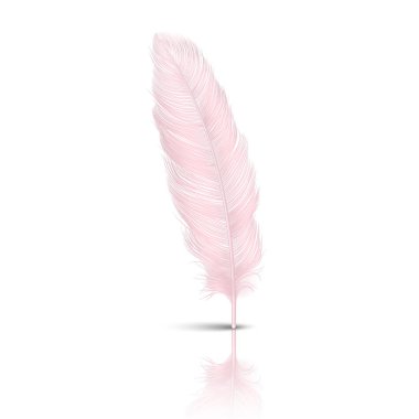Vektör 3d Gerçekçi Düşen Pembe Flamingo Fluffy Beyaz Arka Plan izole Yansıma Closeup ile Tüy Twirled. Tasarım Şablonu, Melek Clipart veya Ayrıntılı Kuş Quill