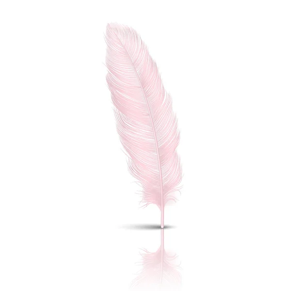 Vector 3D realistische vallende roze flamingo pluizig Twirled Feather met reflectie close-up geïsoleerd op witte achtergrond. Ontwerpsjabloon, clipart van Angel of gedetailleerde vogel Quill — Stockvector
