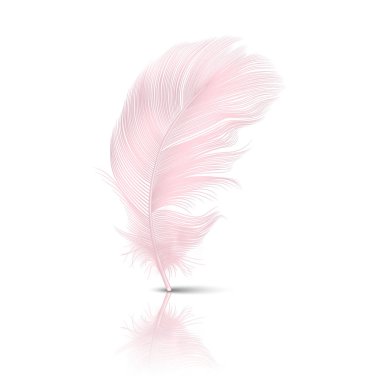 Vektör 3d Gerçekçi Düşen Pembe Flamingo Fluffy Beyaz Arka Plan izole Yansıma Closeup ile Tüy Twirled. Tasarım Şablonu, Melek Clipart veya Ayrıntılı Kuş Quill