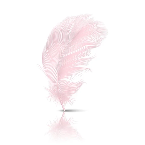 Vektor 3D reális Falling Pink Flamingo bolyhos twirled Feather a reflexió closeup izolált fehér háttér. Tervezősablon, ClipArt az Angel vagy a részletes Bird Quill — Stock Vector