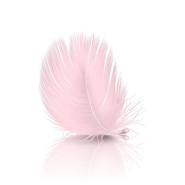 Vektor 3d realistisch fallenden rosa Flamingo flauschig gewirbelt Feder mit Reflexion Nahaufnahme isoliert auf weißem Hintergrund. Designschablone, Cliparts von Engel oder detaillierte Vogelkiel — Stockvektor