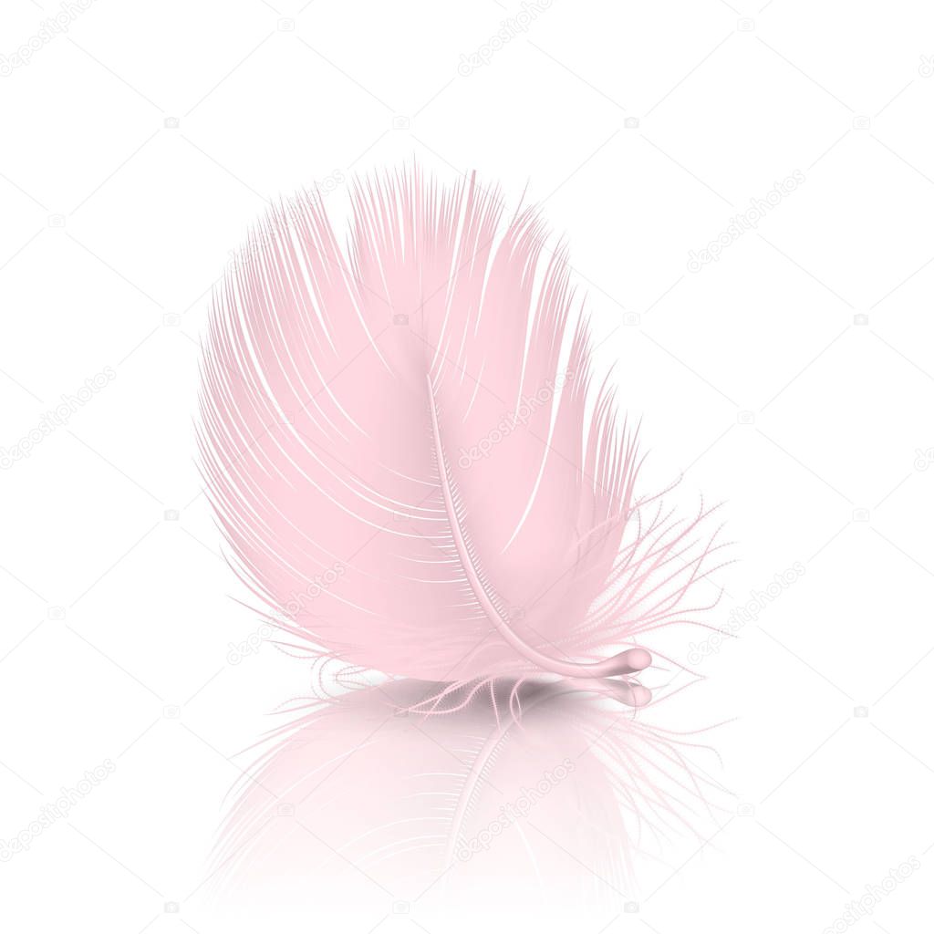 Vector 3d Realistic Falling Pink Flamingo Fluffy Twirled Feather with Reflection Closeup Isolated on White Background. Design Template, Clipart of Angel or Detailed Bird Quill