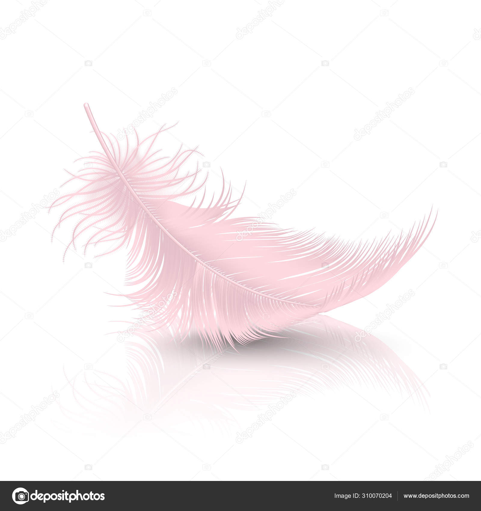 Closeup Pink Feathers Background Stock Image - Image of effortless