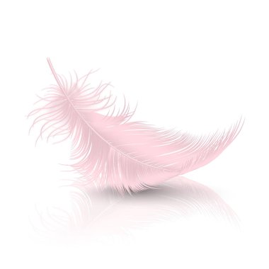 Vector 3d Realistic Falling Pink Flamingo Fluffy Twirled Feather with Reflection Closeup Isolated on White Background. Design Template, Clipart of Angel or Detailed Bird Quill clipart