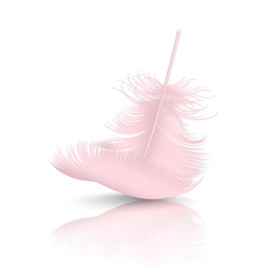 Vektör 3d Gerçekçi Düşen Pembe Flamingo Fluffy Beyaz Arka Plan izole Yansıma Closeup ile Tüy Twirled. Tasarım Şablonu, Melek Clipart veya Ayrıntılı Kuş Quill