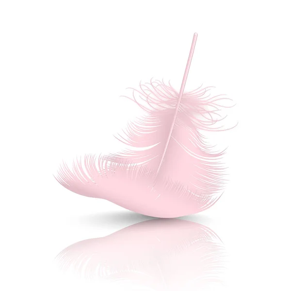 Vector 3d Realistic Falling Pink Flamingo Fluffy Twirled Feather with Reflection Closeup Isolated on White Background. Design Template, Clipart of Angel or Detailed Bird Quill — Stock Vector