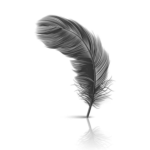 Vector 3d Realistic Falling Black Fluffy Twirled Feather with Reflection Closeup Isolated on White Background. Design Template, Clipart of Angel or Detailed Bird Quill, Nib — ストックベクタ