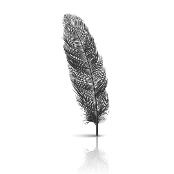 Vector 3d Realist Falling Black Fluffy Twirled Feather with Reflection Closeup Isolated on White Background Дизайн Template, Clipart of Angel or Detailed Bird Quill, Nib — стоковий вектор