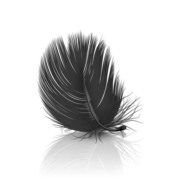 Vektor 3d realistisch fallenden schwarzen flauschigen gewirbelten Feder mit Reflexion Nahaufnahme isoliert auf weißem Hintergrund. Designschablone, Cliparts von Engel oder detaillierte Vogelkiel, Feder — Stockvektor