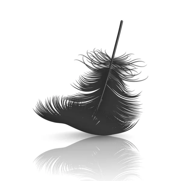 Vector 3d Realisztikus Falling Black Fluffy Twirled Feather with Reflection Closeup Elszigetelt fehér háttér. Design Template, Clipart of Angel vagy részletes madártoll, Nib — Stock Vector