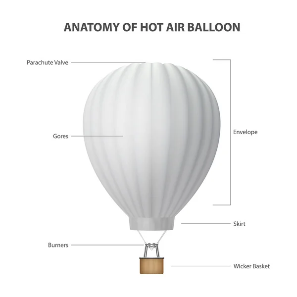 Anatomía del globo aerostático aislado sobre fondo blanco. Ilustración realista vectorial. Plantilla de diseño para burla, Branding. Aerostato en Blanco para Vacaciones de Verano, Viajar, Turismo, Concepto de Viaje — Archivo Imágenes Vectoriales