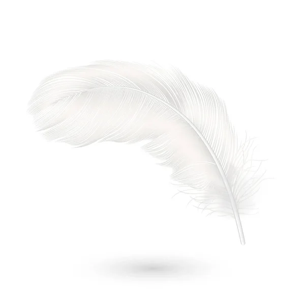 白い背景に隔離されたベクトル3D現実的な落下白いふわふわのツイル状の羽のアイコンの閉鎖。デザインテンプレート、天使の一部または鳥の詳細羽 — ストックベクタ