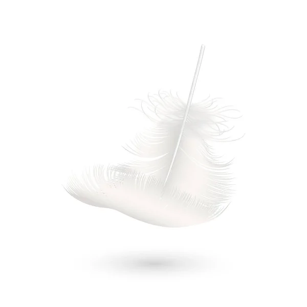 Vector 3d realista caindo branco Fluffy Twirled Feather Icon Closeup Isolado no fundo branco. Modelo de design, Clipart de anjo ou pássaro Pena detalhada — Vetor de Stock