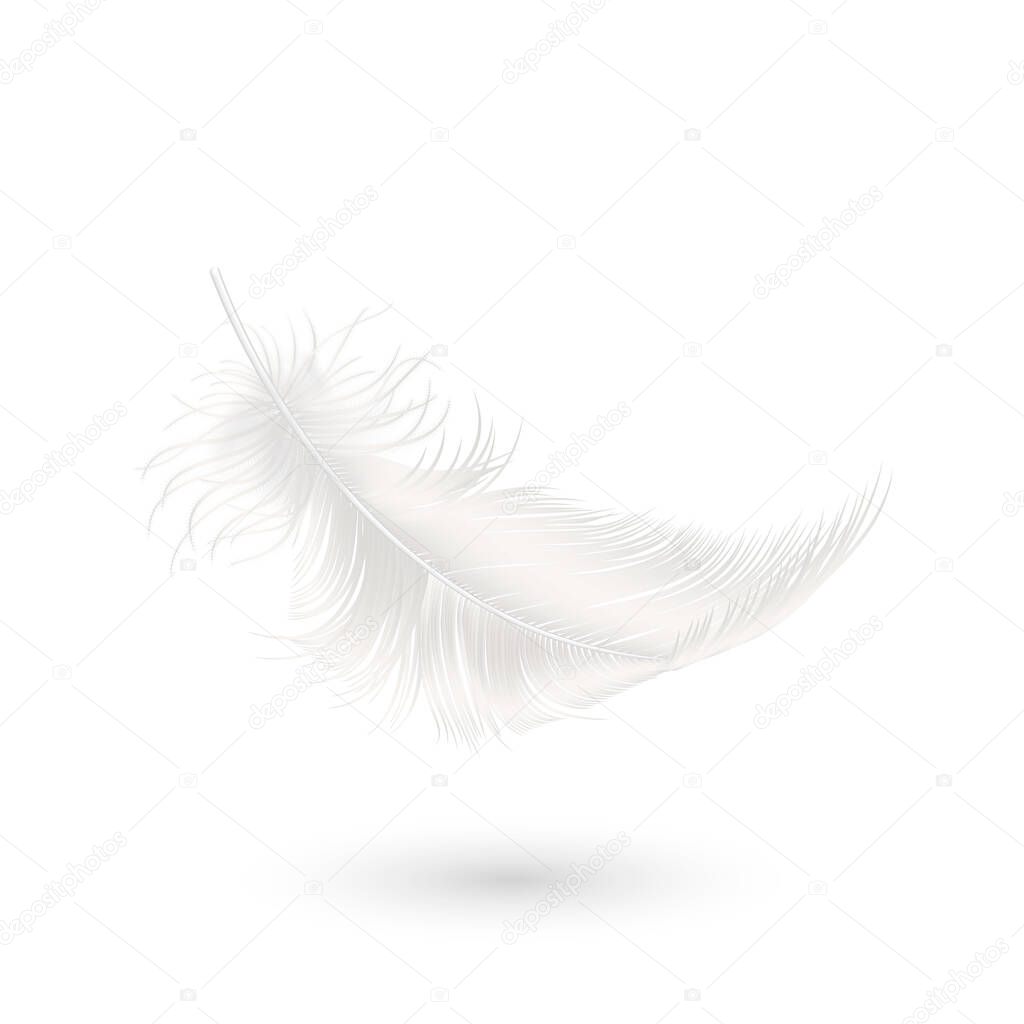 Vector 3d Realistic Falling White Fluffy Twirled Feather Icon Closeup Isolated on White Background. Design Template, Clipart of Angel or Bird Detailed Feather