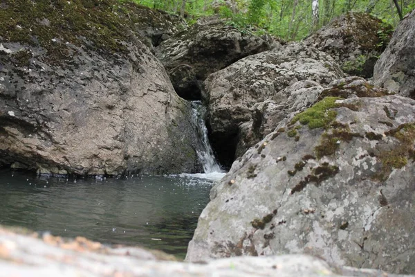 Горная река - небольшой водопад на реке с кристально чистой водой, которая течет среди серых камней в зеленом лесу в облачный летний день. Закрыть скалу рядом с водоемом — стоковое фото