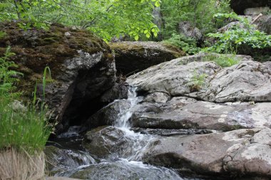 Dağ nehri, bulutlu bir yaz gününde, yeşil bir ormanda gri taşların arasında akan kristal berrak suyla dolu küçük bir şelale. Göletin yanında büyük taşlar var.