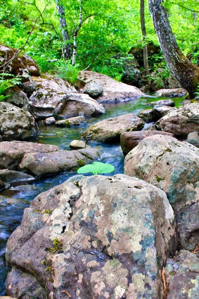 Bergrivier - een kleine waterval op een rivier met kristalhelder water dat op een bewolkte zomerdag tussen grijze stenen in een groen bos stroomt. Grote stenen bij de vijver — Stockfoto